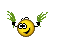 fly