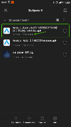Screenshot_2021-01-28-10-42-33-166_com.mi.android.globalFileexplorer.png